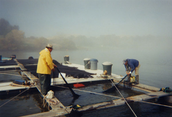 changing nets