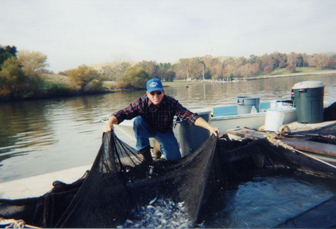 fish in net